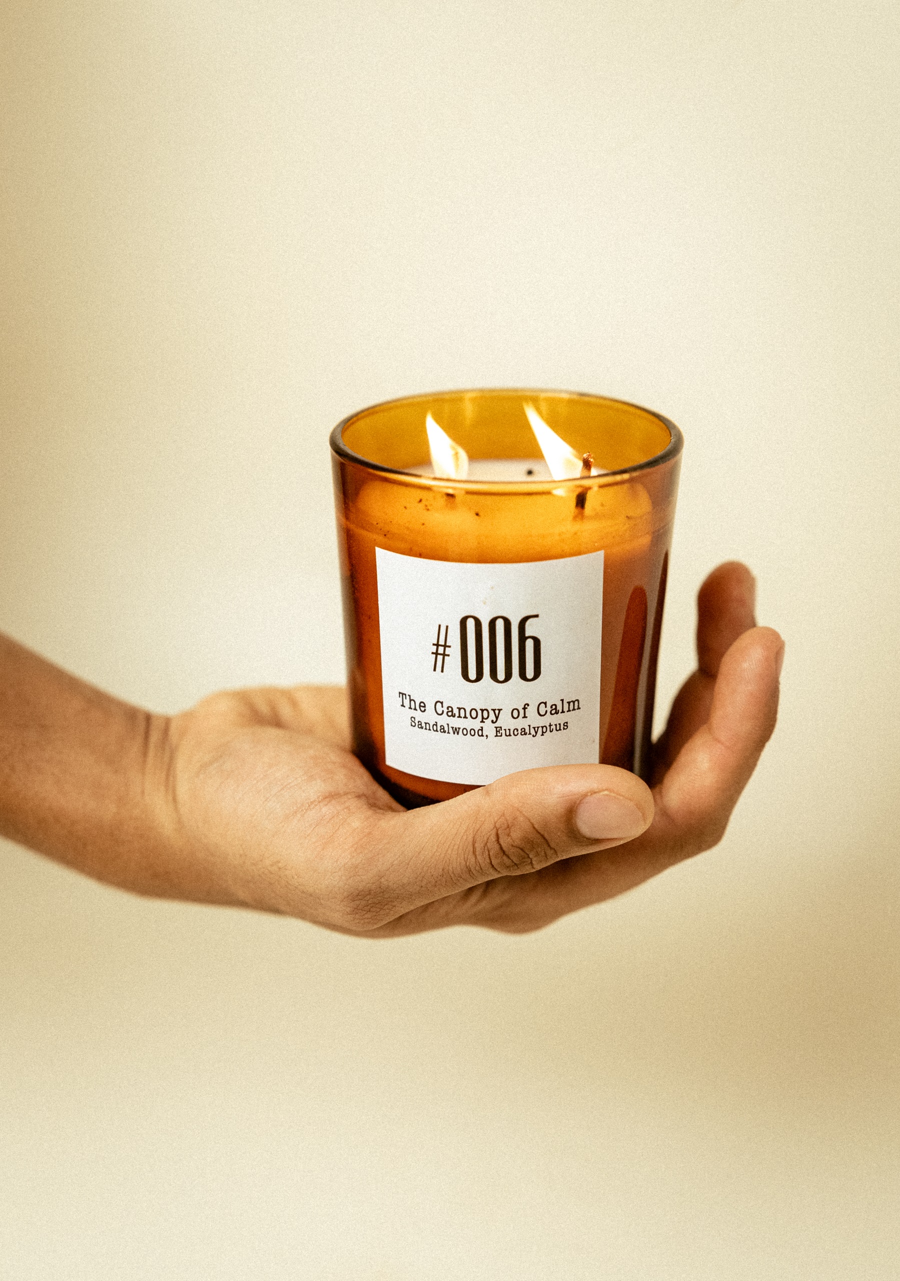 #006 The Canopy of Calm - Image 4