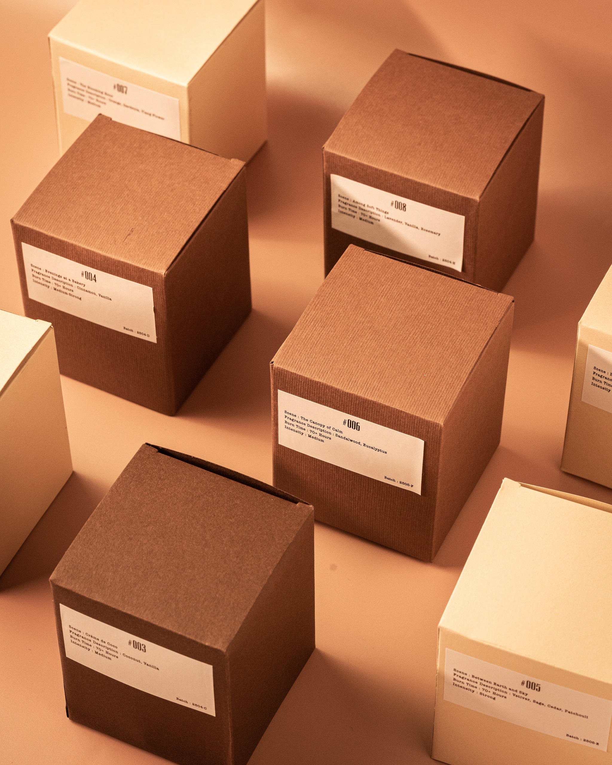 #006 The Canopy of Calm - Image 5