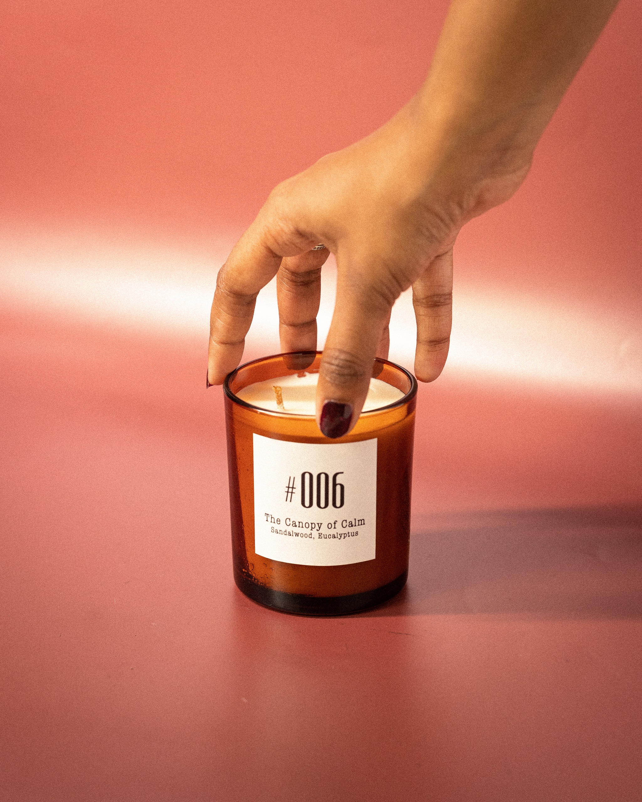 #006 The Canopy of Calm - Image 9